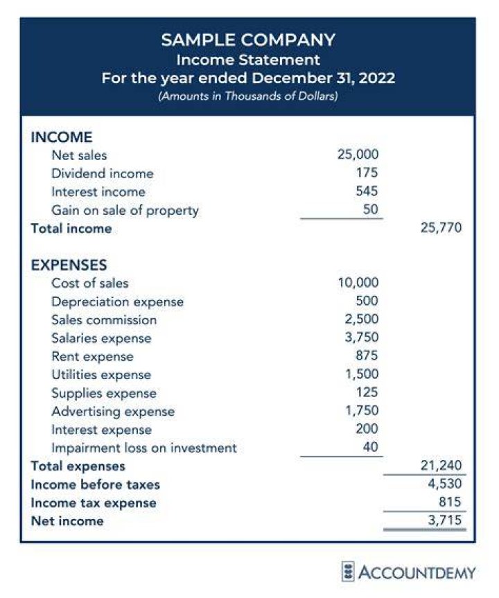 What is the income statement also known as?