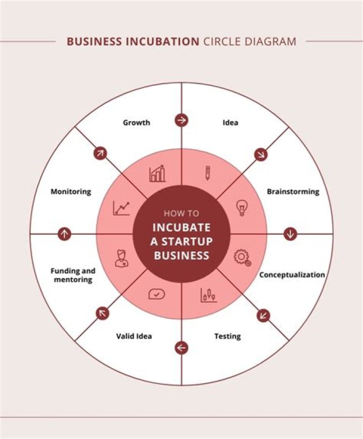 What is the incubation stage of a business?