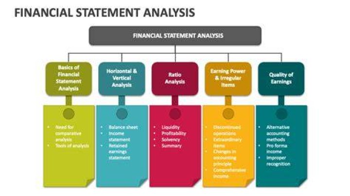 What is the interest of the shareholders in the analysis of the financial statements?