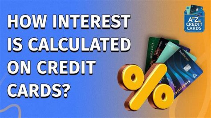 What is the interest rate on a Visa credit card?