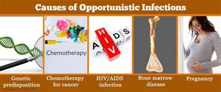 What is the main feature of an opportunistic infection?