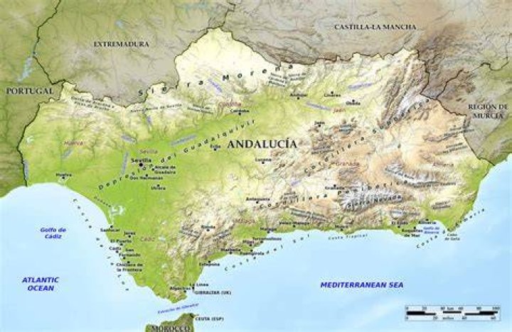 What is the main product exported from the region of Andalucia in Spain?