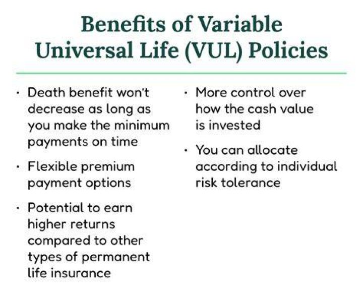 What is the meaning of Vul in insurance?