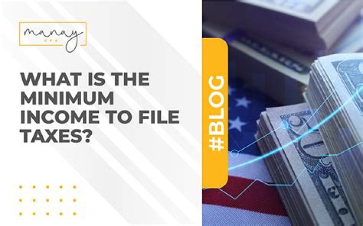 What is the minimum income to file federal taxes in 2019?