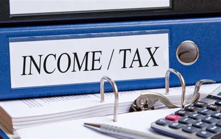 What is the minimum income to file taxes in Georgia?