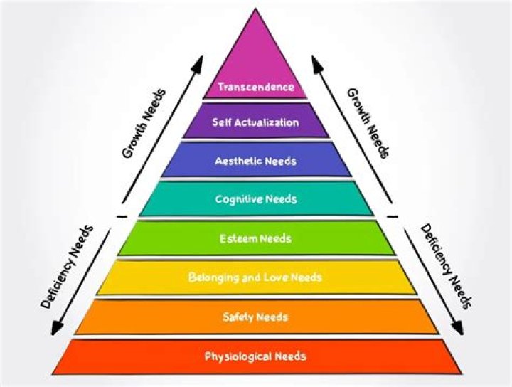 What is the most basic need according to Maslow?