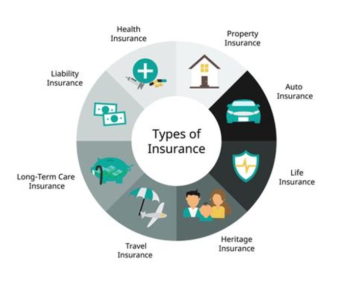 What is the most popular type of insurance?
