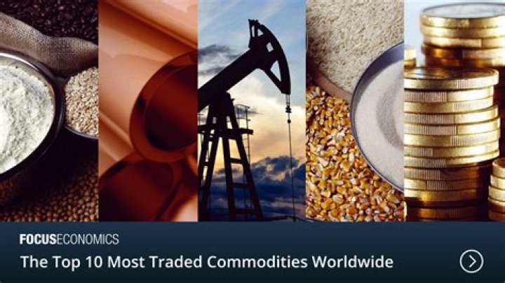 What is the most traded commodity on earth?