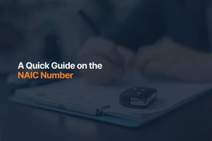 What is the NAIC number for Allstate Insurance?