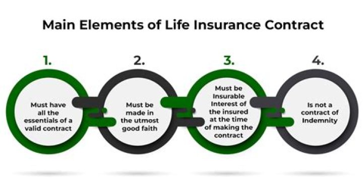 What is the name of the document that contains information about the nonguaranteed elements of a life insurance policy?