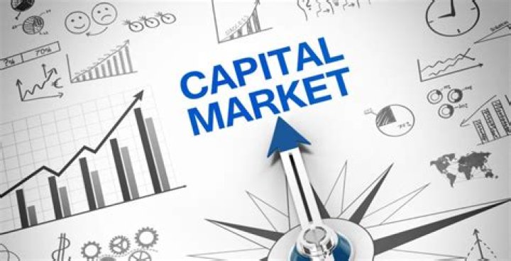 What is the need for capital markets?