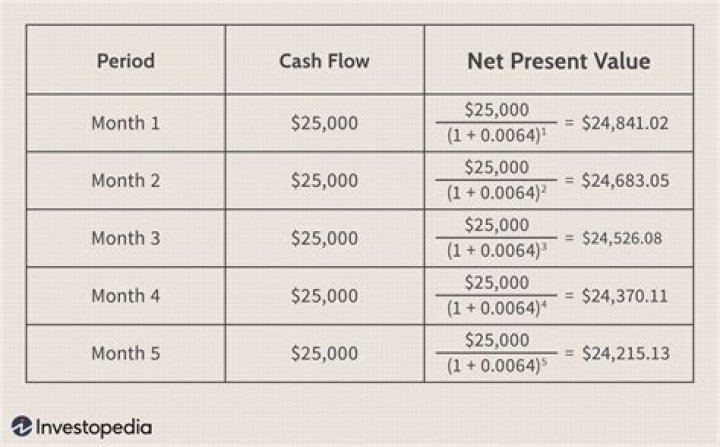 What is the NPV of the lease?