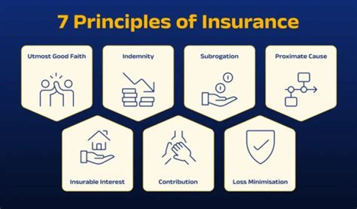 What is the primary purpose of insurance quizlet?