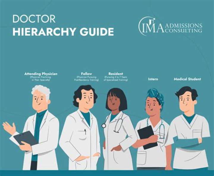 What is the primary responsibility of a medical doctor?