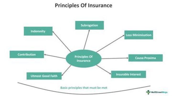 What is the principle of life insurance?