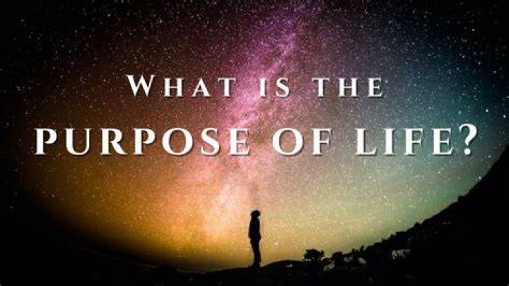 What is the purpose of BG?