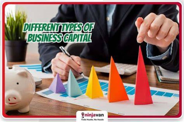 What is the purpose of business capital?
