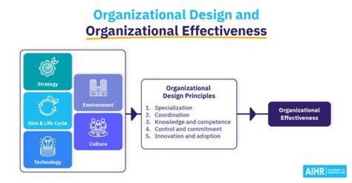 What is the purpose of Organisational instructions?