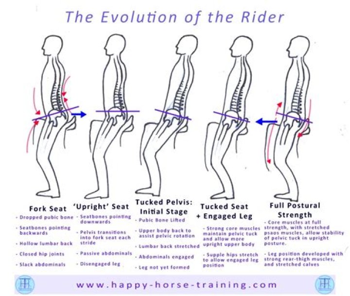 What is the rider position?