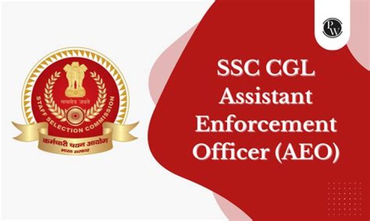 What is the role of assistant enforcement officer?