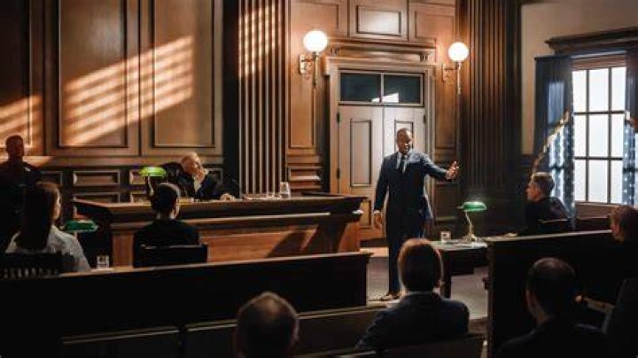 What is the role of courts and lawyers as social engineers in the society?