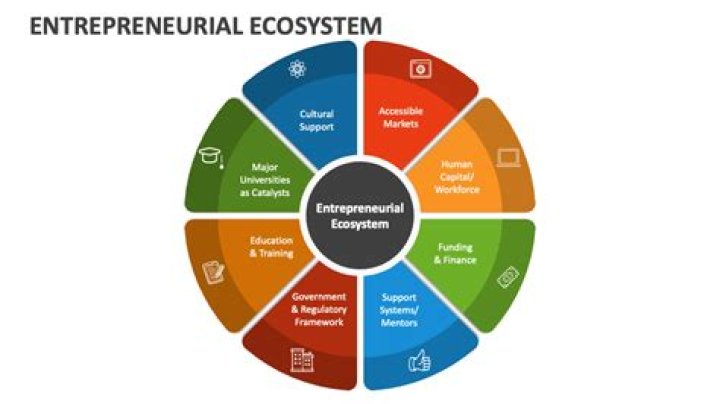What is the role of government in entrepreneurial development?