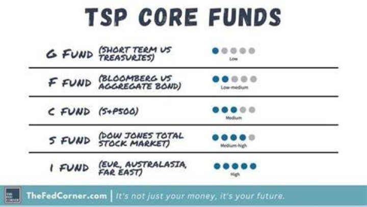 What is the safest investment in TSP?
