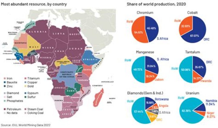 What is the second most profitable resource in Africa?