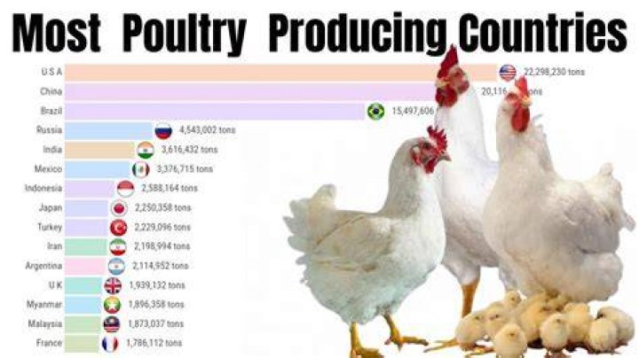 What is the top poultry processing company?