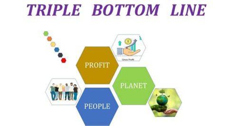 What is triple bottom line concept?