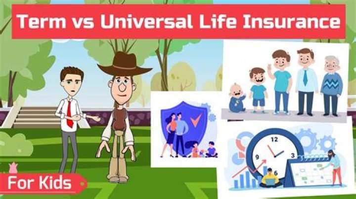 What is universal term life?