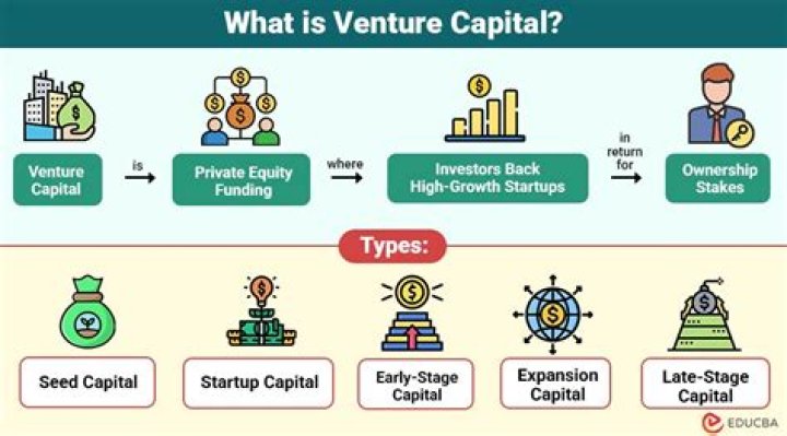 What is venture capital example?