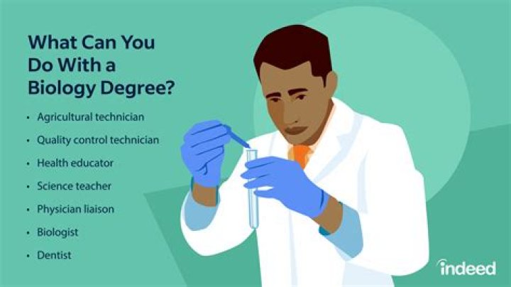 What jobs can you get with a bachelors in marine biology?