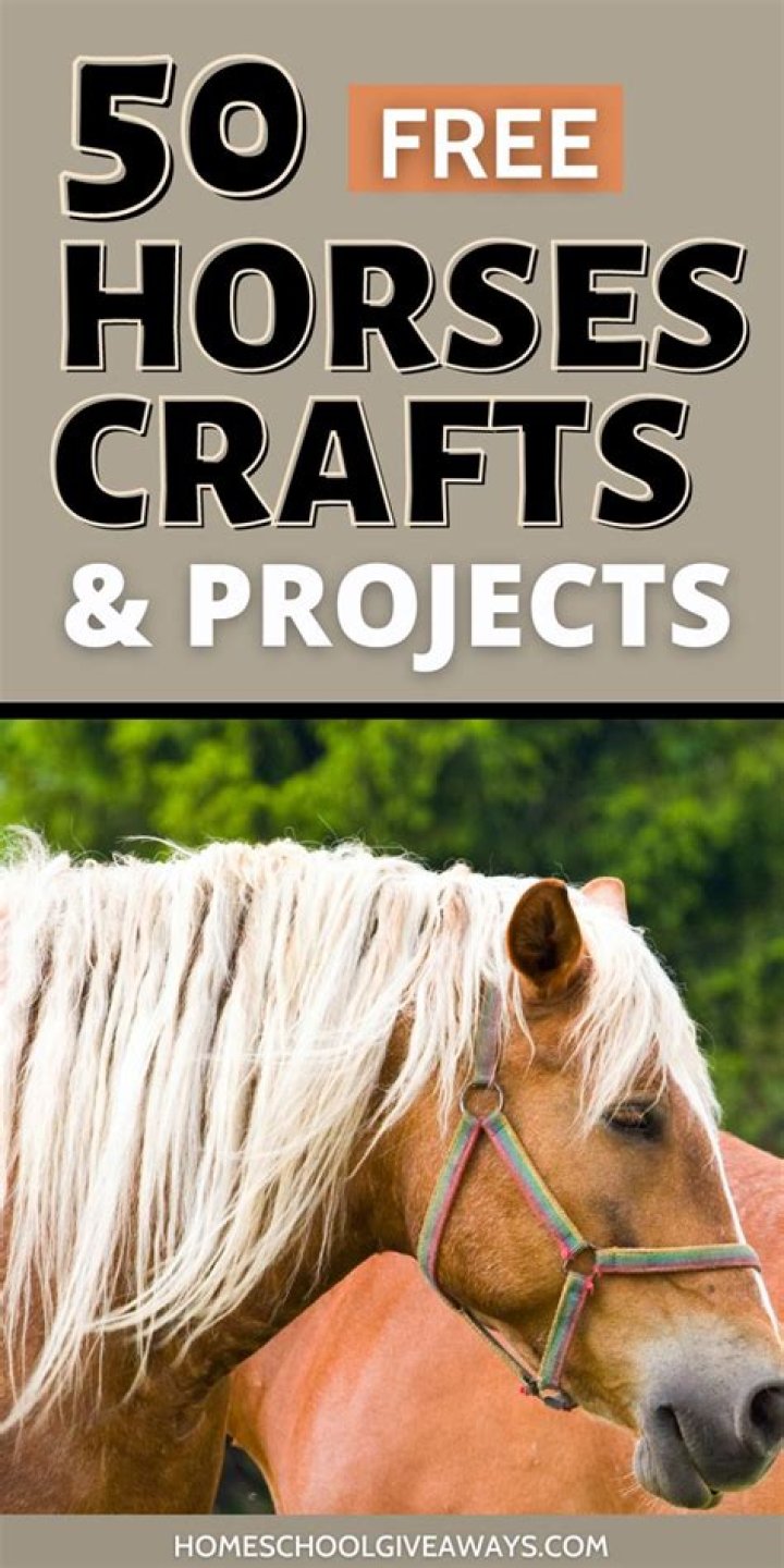 What jobs have to do with horses?