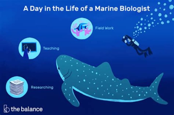 What kind of animals do marine biologist work with?