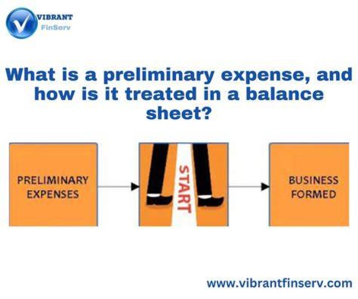 What kind of asset is preliminary expenses?