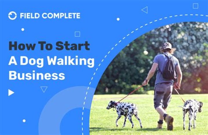 What kind of insurance do you need for a dog walking business?