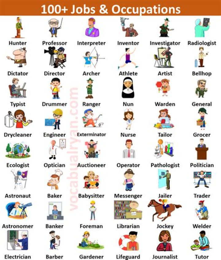 What kind of job can I get in New Zealand?