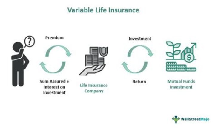 What kind of premium is variable life insurance?