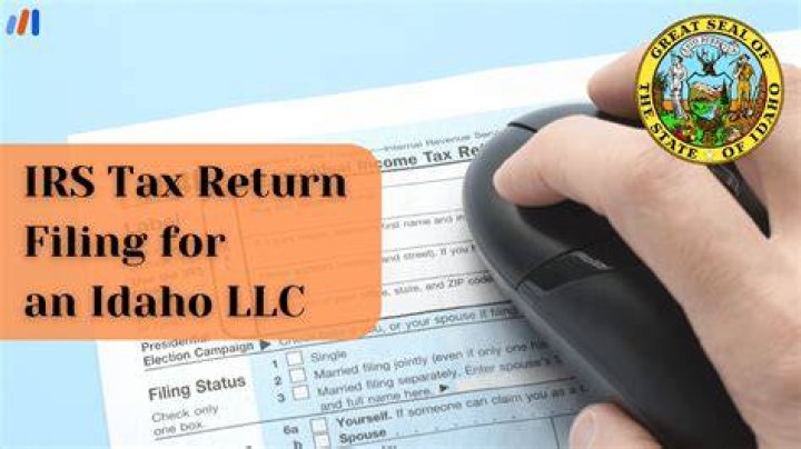 What kind of tax return should a LLC file?