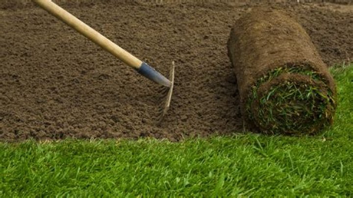 What kind of things do landscapers do?