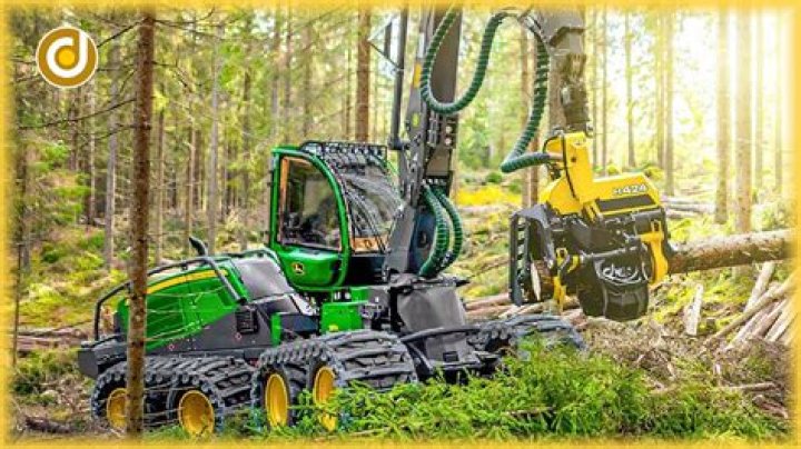 What kind of tools do foresters use?