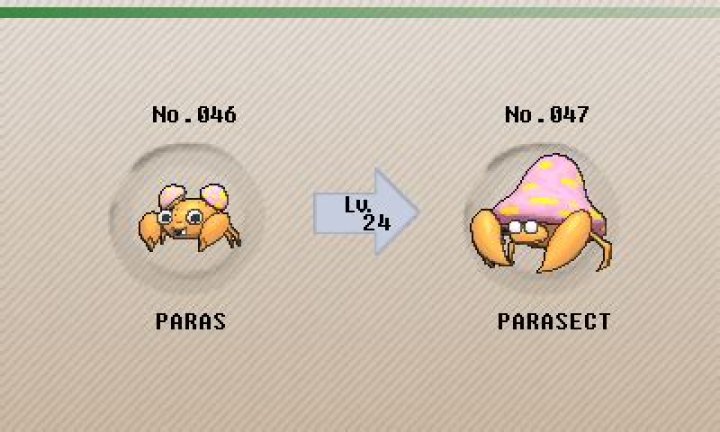 What level does Paras evolve at?