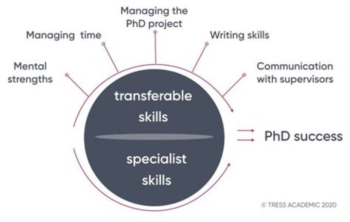 What makes a PhD student successful?