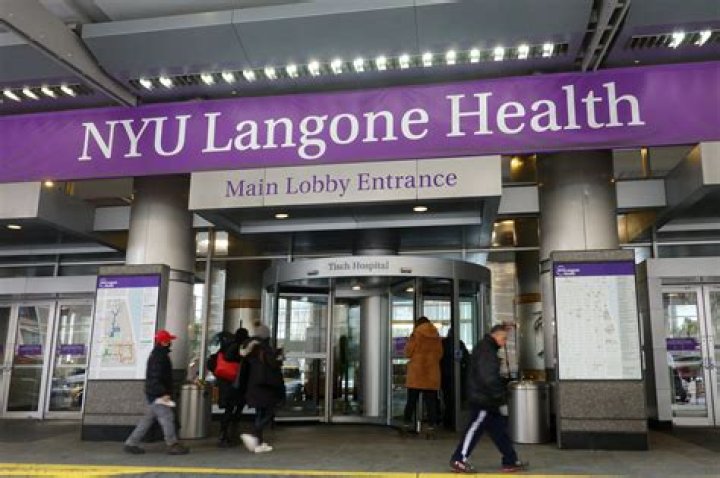 What medical programs does NYU have?