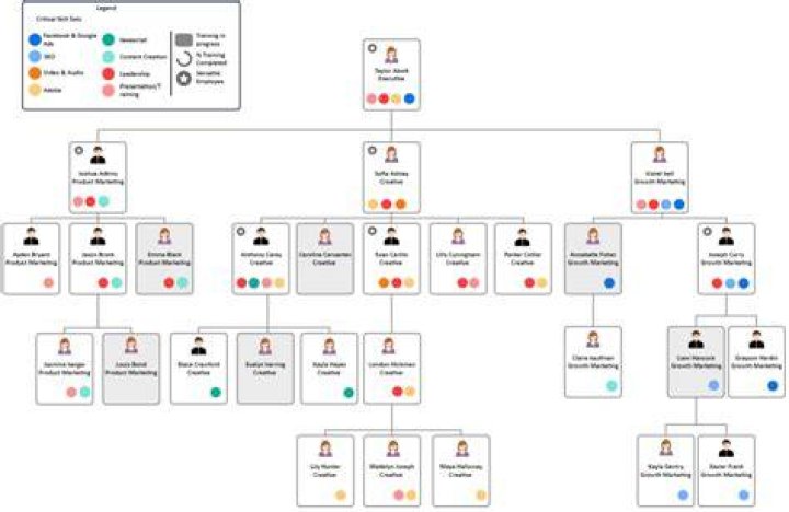 What positions do you need in a startup?