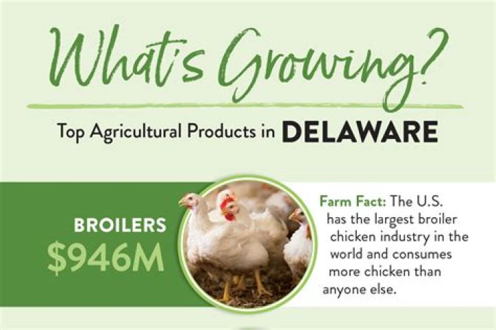 What products does Delaware produce?