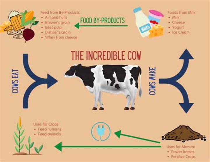 What products does Monaco produce?