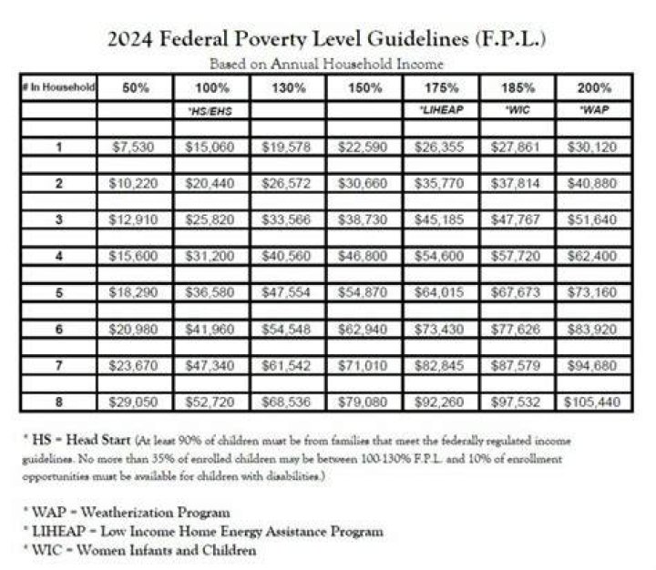 What programs use the poverty guidelines?