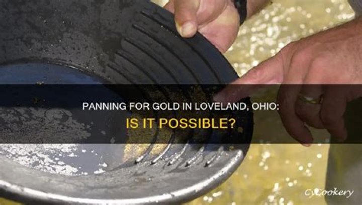What property of gold makes panning possible?